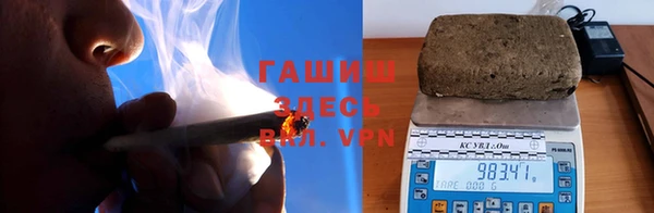 сатива Нефтекумск