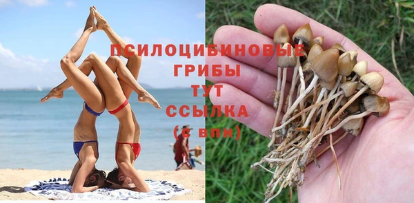 MESCALINE Новодвинск