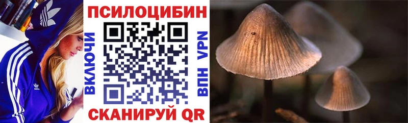 Галлюциногенные грибы Psilocybe  закладки  Мытищи 